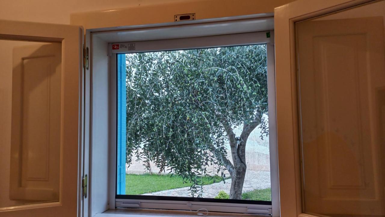 몰라디바리 Villino Tronchetto Bianco B&B 외부 사진
