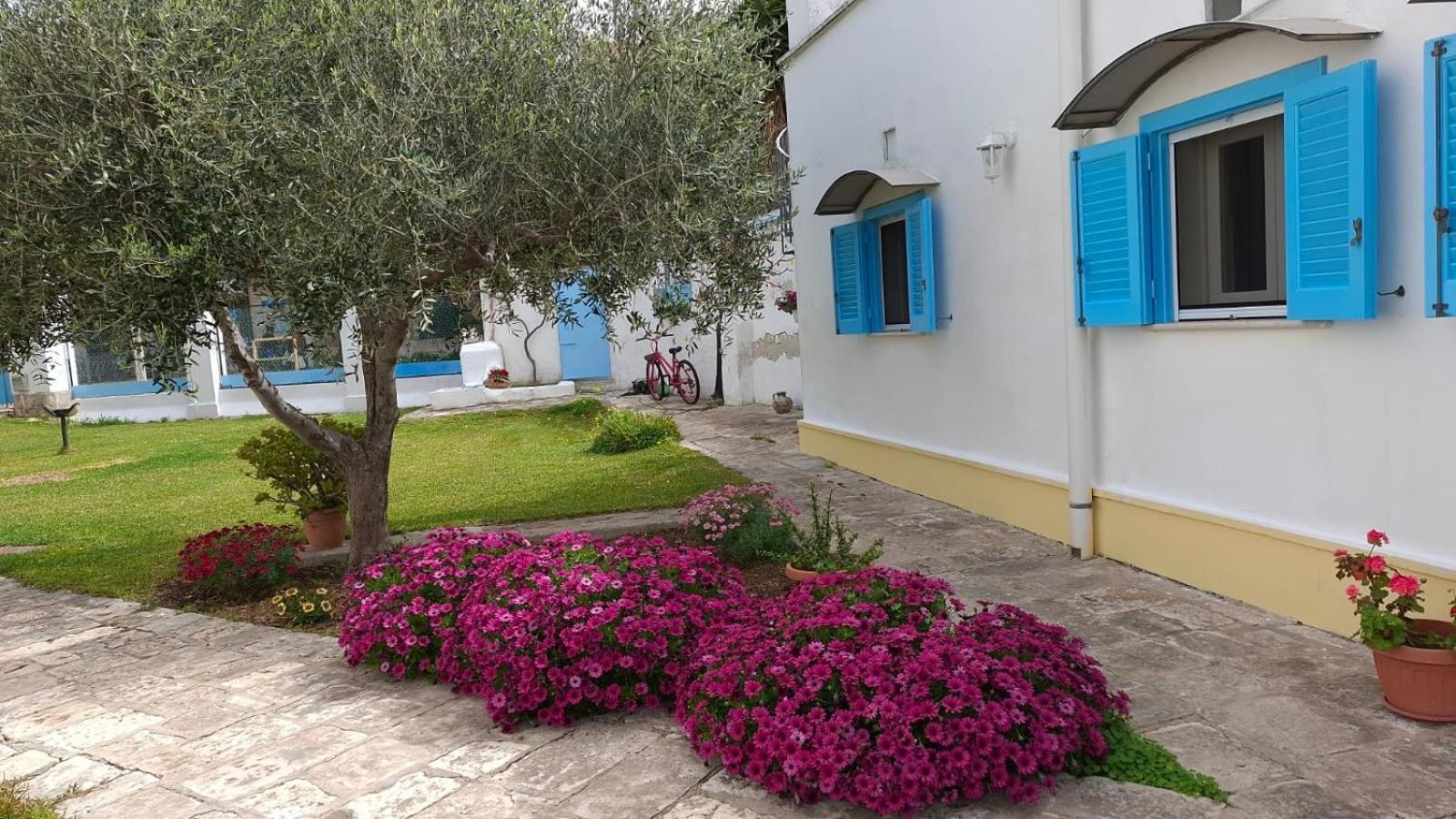 몰라디바리 Villino Tronchetto Bianco B&B 외부 사진